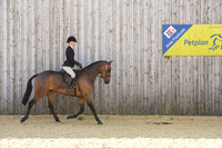 C16-Novice Intermediate