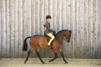 C18-RIHS 133cm SHP