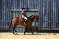 C20-RIHS 153cm SHP