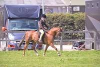 C24B-1st Pony SHT
