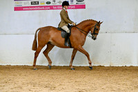 C33-RIHS LW Amateur