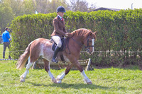 C55-RIHS Heritage