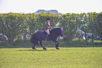 059_0684h