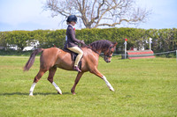 C62-RIHS UK H and P