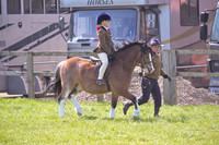 C74-Lead Rein MM