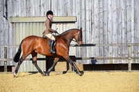 C78-Young Plaited