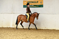 Championship-Alan Hall Supreme