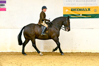 _cch3584p