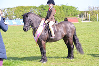 Championship-Diane Miller Heritage Supreme