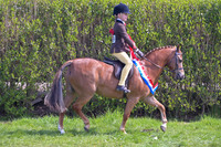 uch_1594h