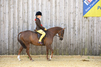 Championship-Novice