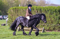 Championship-Novice Ring 4