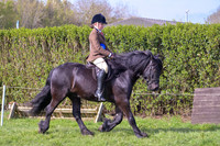 nch_0479h