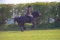 nch_0494h