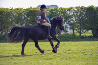 nch_0489h