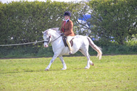 nch_0500h