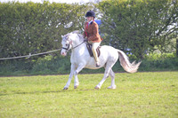 nch_0499h