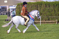nch_0512h