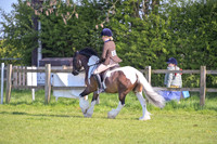 cch_3055h