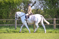 cch_3058h
