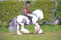 cch_3065h