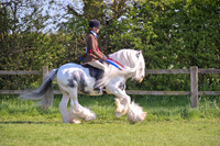 cch_3072h