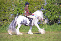 cch_3066h