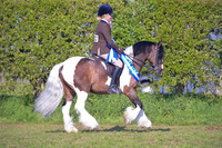 cch_3068h