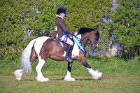 cch_3069h