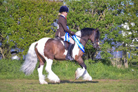 cch_3071h