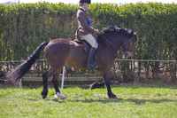 rhc_2408h