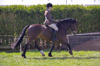 rhc_2411h