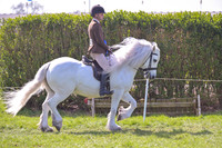 rhc_2413h