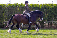 rhc_2417h