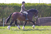 rhc_2419h