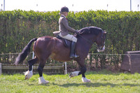 rhc_2418h