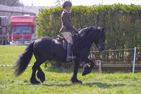 rhc_2424h