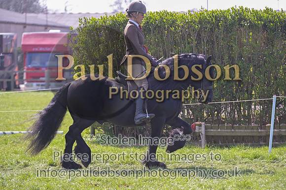 rhc_2424h