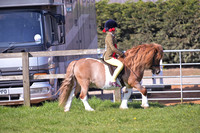 Championship-RIHS Mini