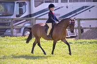 rch_2988h