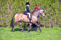 rch_3010h
