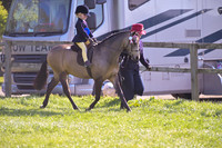 rch_3016h