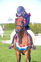 rch_3017h