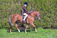 Championship-RIHS Mini LR FR
