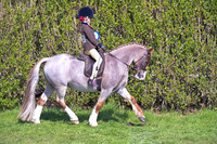 sch_2628h