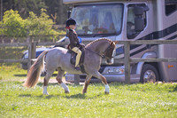 sch_2634h