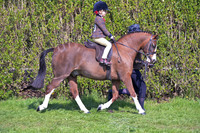 sch_2647h