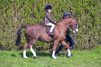 sch_2648h
