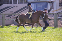sch_2650h