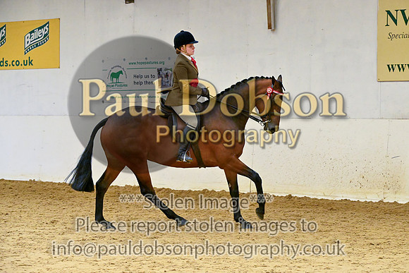_rhc3848p